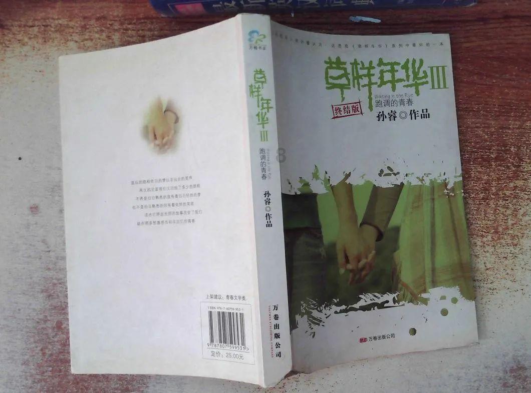真三国无双8