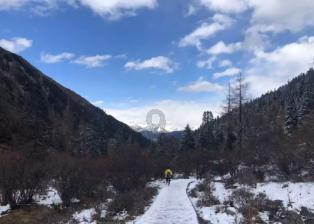 近乎缘木求鱼，卧冰求鲤什么意思游戏画面