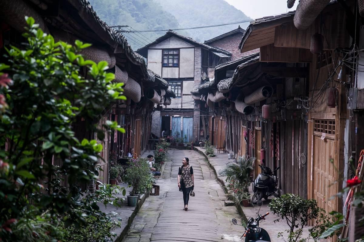 QQ企鹅